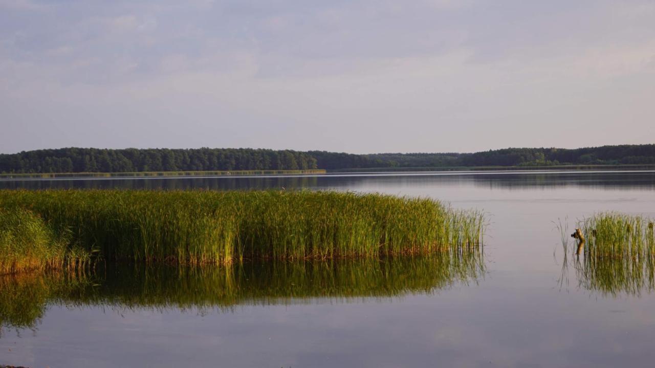 Yacht Club Apartamenty Radzyń Exteriér fotografie